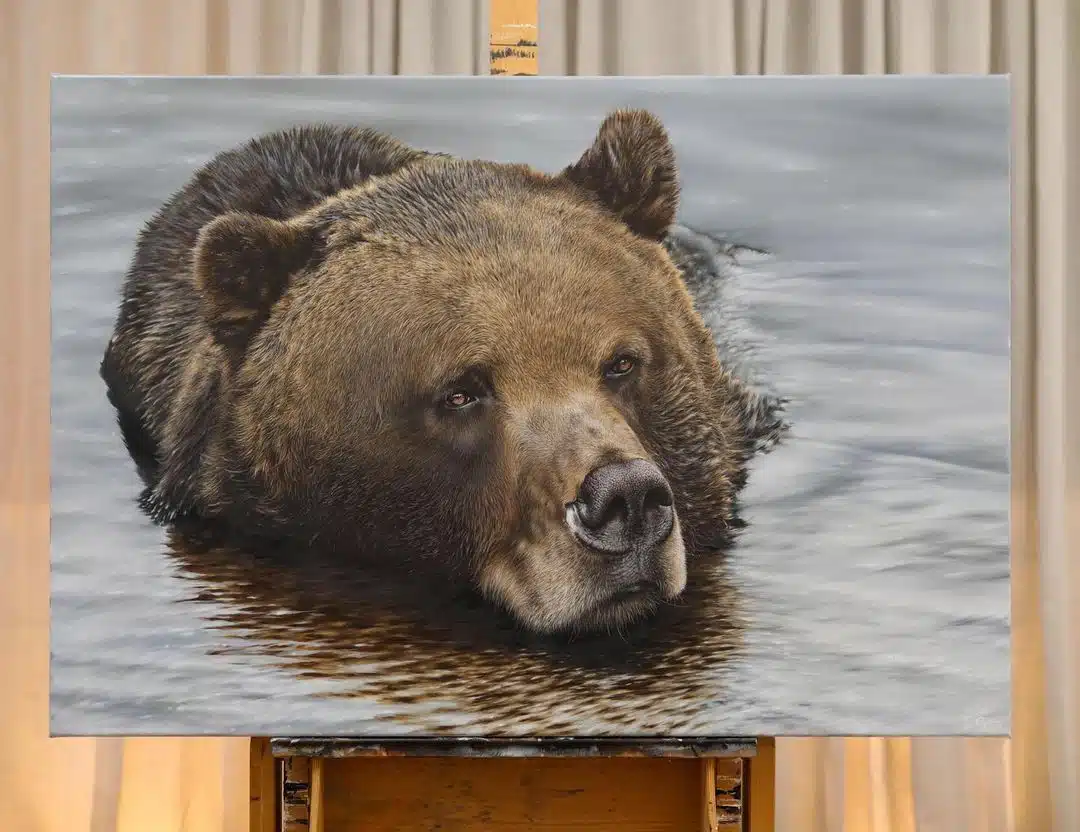 Wildlife Paintings by Carla Grace Ollwitz